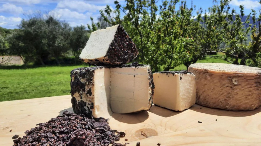 Formaggio prodotto nell'azienda di Pattada