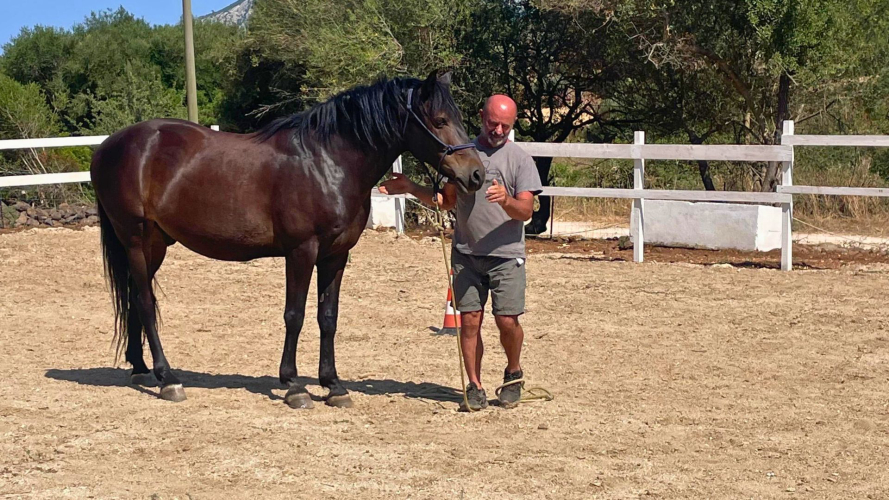 Ausbilder erklärt, wie man mit Pferden in der Mitte Sardiniens umgeht