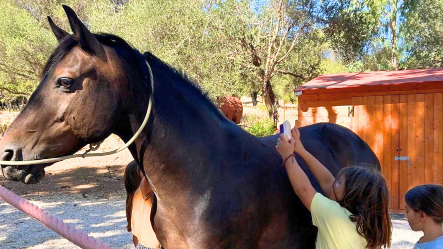 Mädchen baut während ihres Aufenthalts in der Provinz Nuoro eine Beziehung zu einem Pferd auf