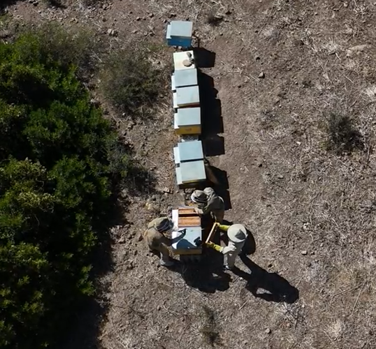 Arnie viste dall'alto nel territorio di Villanova Monteleone
