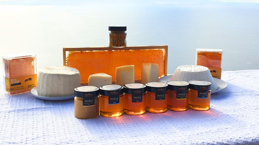 Miele locale prodotto a Villanova Monteleone nel nord della Sardegna