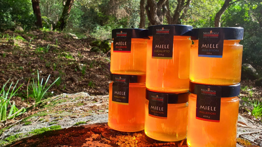 Miele prodotto nel nord della Sardegna