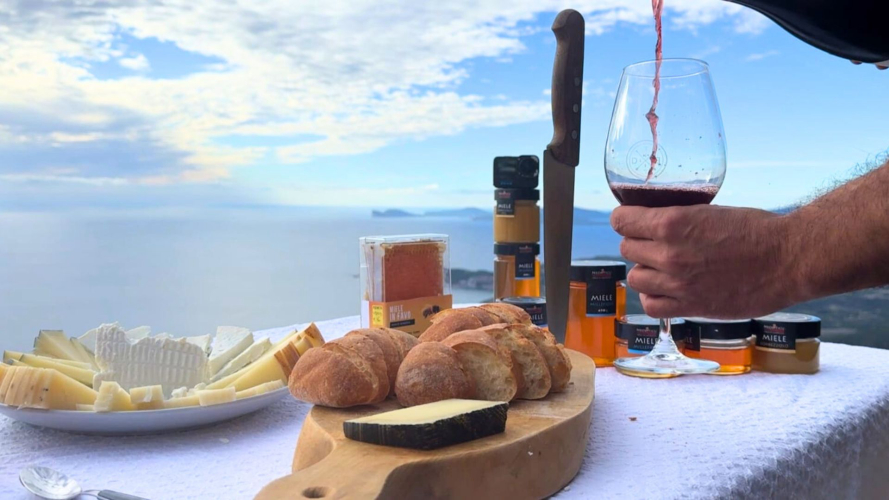 Degustazione miele e formaggio nel nord della Sardegna
