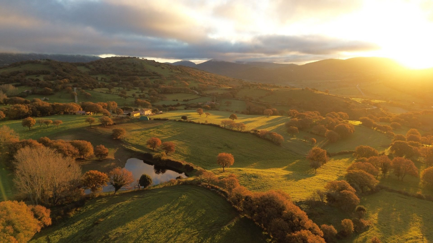 Paesaggio del Logudoro in zona Pattada