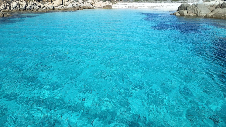 Mare turchese nel sud della Corsica
