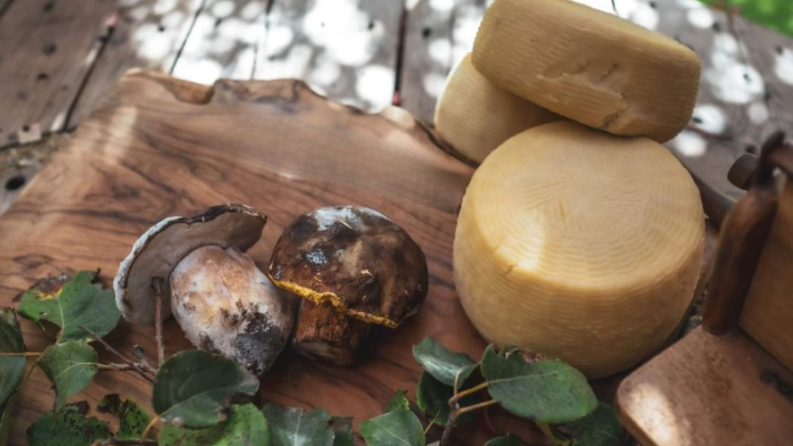 Formaggi prodotti nell'azienda agricola di Bonorva