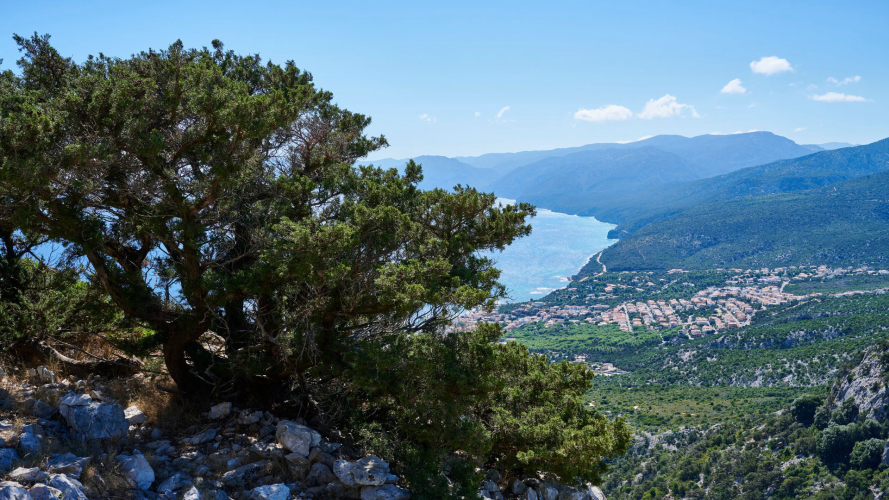 Vista su Cala Gonone