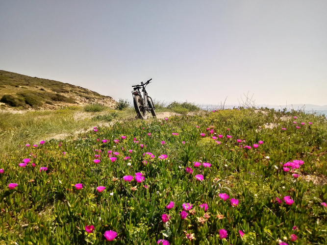 Landschaft im Süden Sardiniens mit dem Fahrrad