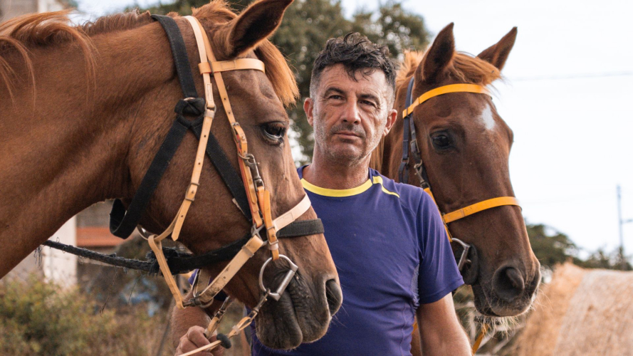 La guida prepara i cavalli per la passeggiata