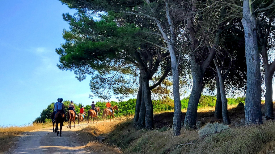 Passeggiata a cavallo fra i sentieri nel territorio di Sedini