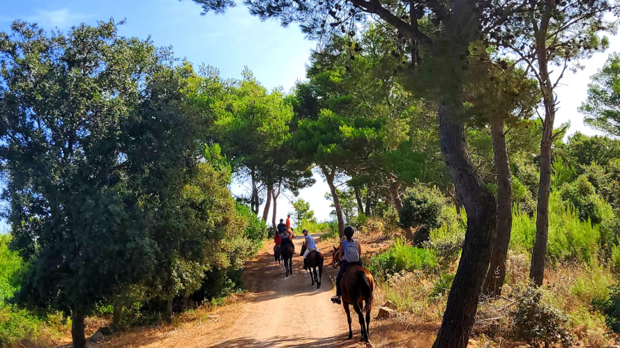 Passeggiata a cavallo fra i sentieri nel territorio di Sedini