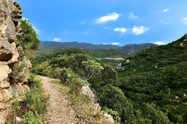 Sendero entre los bosques del Marganai en Domusnovas