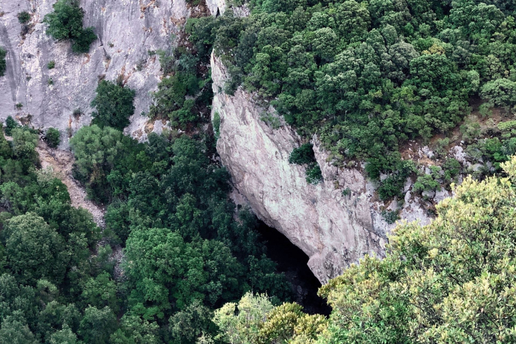 Cueva inmersa en los bosques de Marganai vista desde arriba durante la excursión.