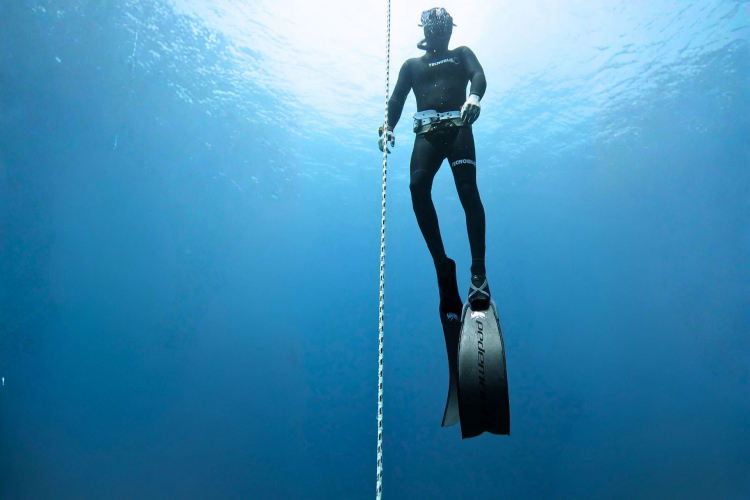 Sott'acqua durante l'escursione di apnea ad Alghero
