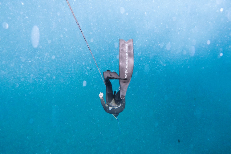 Sott'acqua durante l'escursione di apnea ad Alghero