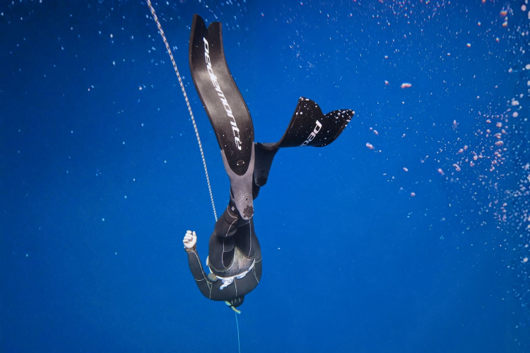 Sott'acqua durante l'escursione di apnea ad Alghero