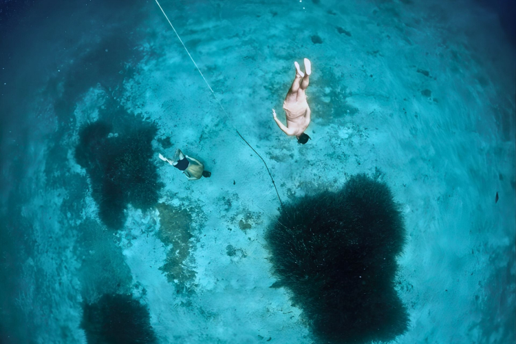 Ragazzo fa apnea durante escursione guidata nel Golfo di Alghero