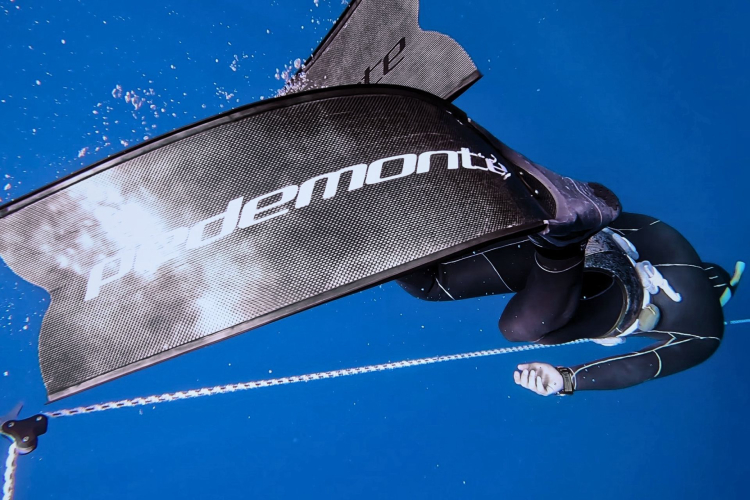 Sott'acqua durante l'escursione di apnea ad Alghero