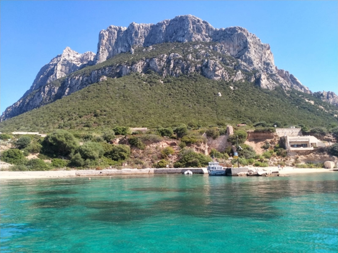 Isola di Tavolara tra Olbia e San Teodoro