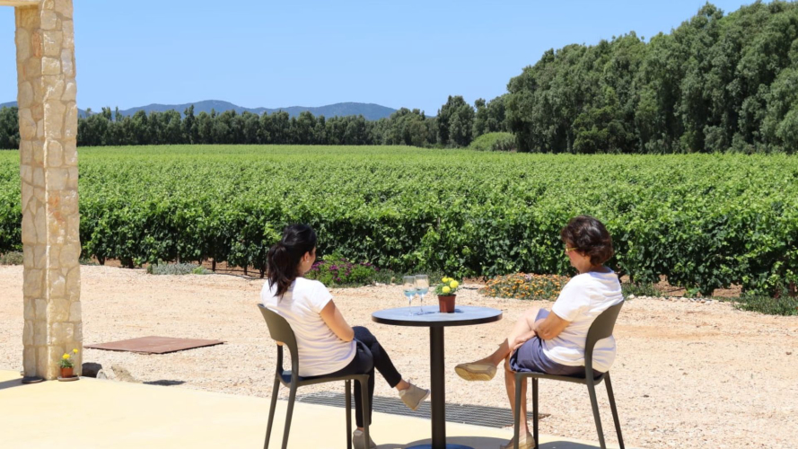People visit the winery in the Alghero area