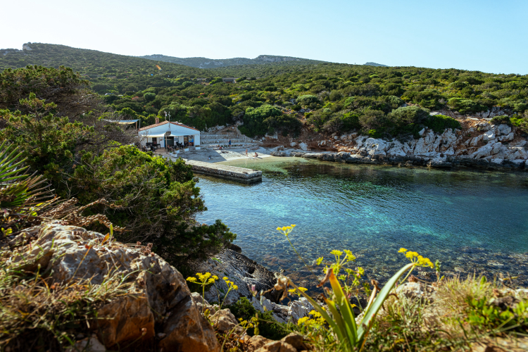 Cala Dragunara in the Porto Conte Natural Park