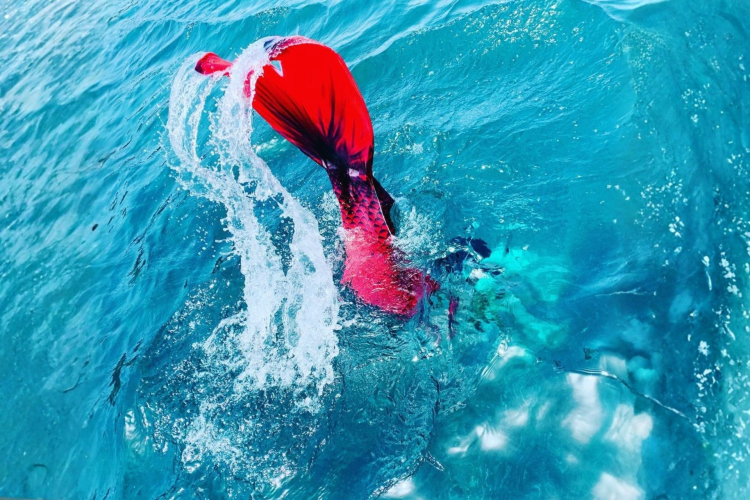 Une personne à la queue de sirène rouge nage dans les eaux cristallines de la mer.