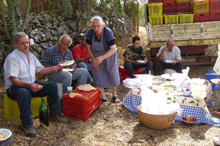 Gruppo di persone sedute all'aperto, si riposano al termine della vendemmia