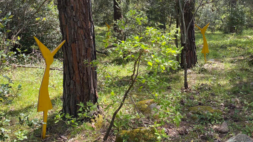 Un percorso immersivo tra lecci, sugherete e macchia mediterranea con visita al Museo Organica