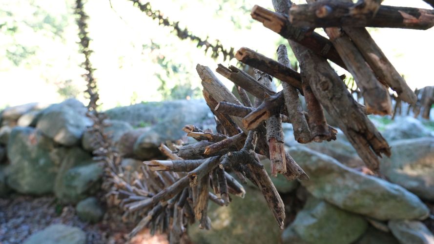 Un percorso immersivo tra lecci e macchia mediterranea alle pendici del Monte Limbara