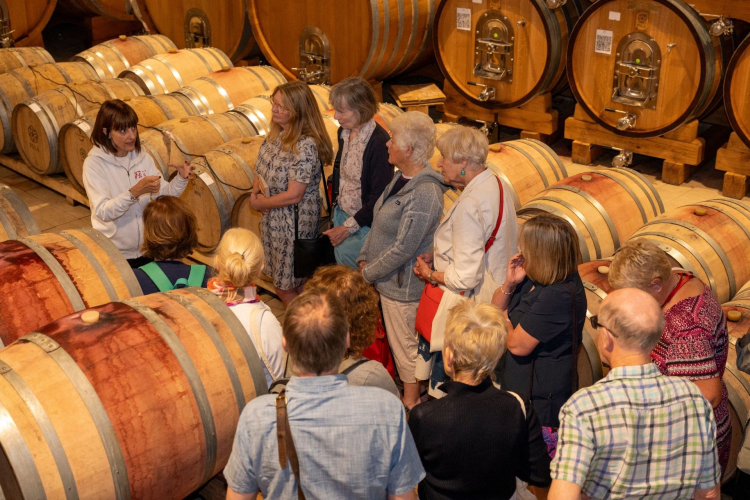 Group of people in a cellar surrounded by wooden barrels, while the guide explains