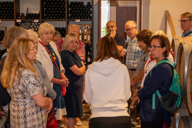 Group of people inside a cellar listen to the guide who explains