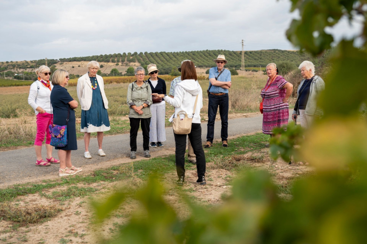 A group of people take part in a guided tour of a winery in Serdiana, near Cagliari, with wine tasting.