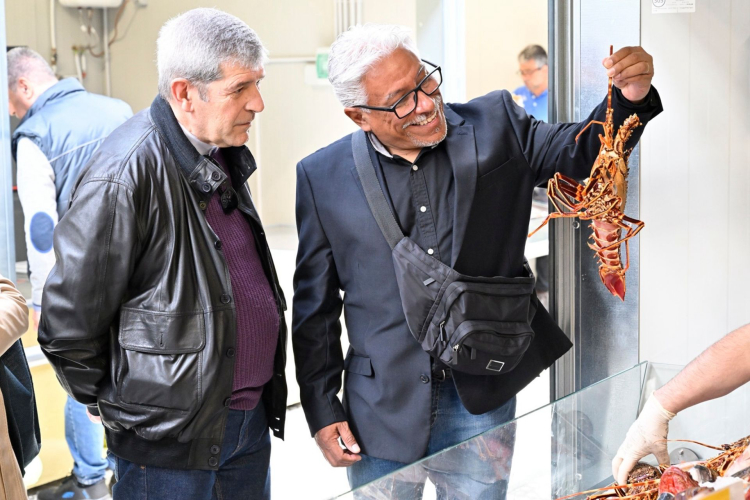 Los visitantes observaron los productos del mostrador de pescado del mercado de Cagliari