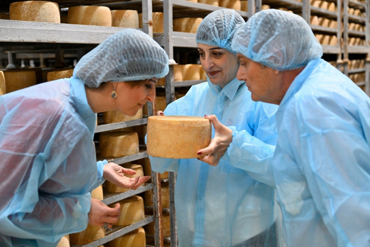 People in protective suits look at cheese in a cheese factory