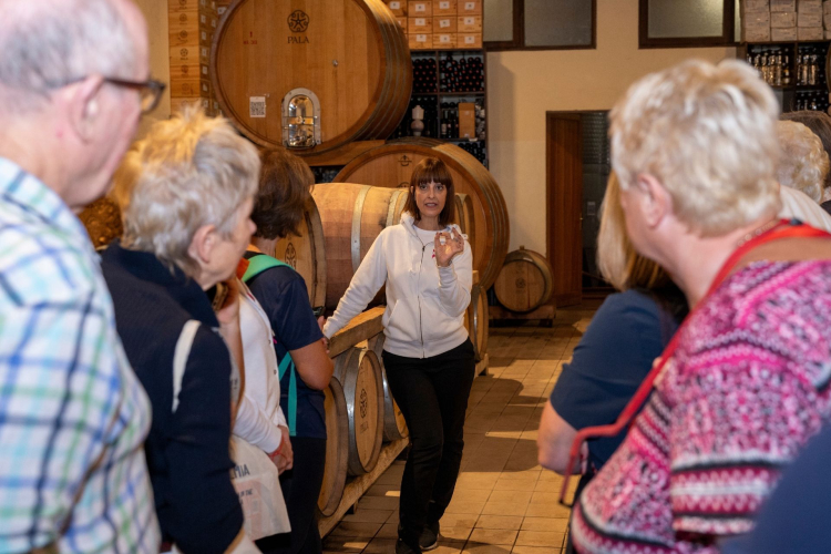 Group of people taking a guided tour of a winery in Serdiana, near Cagliari, with wine tasting.