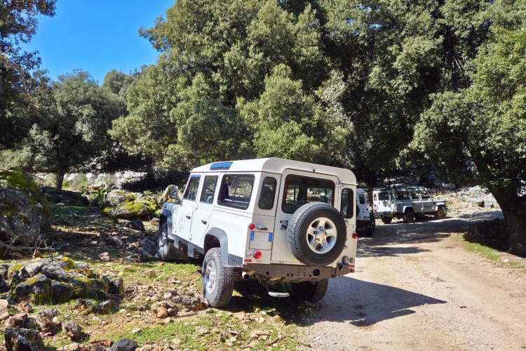 Jeep in un sentiero sterrato nei boschi dell'entroterra Sardo