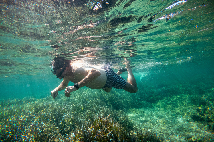 Un homme nage sous l'eau près de la côte avec une végétation marine