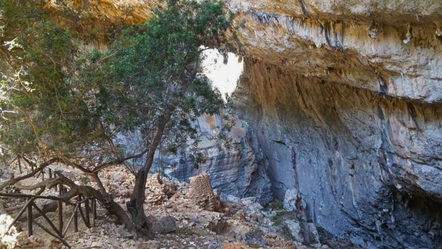 Imagen de un sumidero con una exuberante vegetación mediterránea y una pared rocosa, típica del paisaje sardo.
