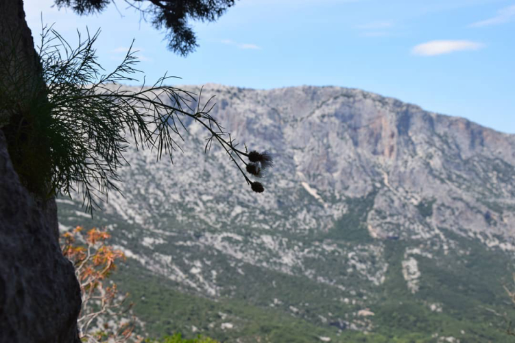 Vue sur les montagnes à la végétation verte et aux vues spectaculaires, avec un chemin qui mène à un village nuragique
