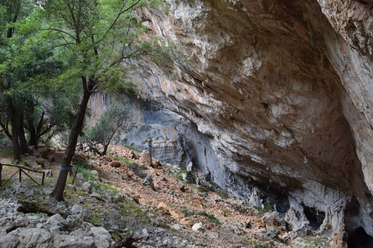 Vue d'ensemble d'un village nuragique immergé dans un paysage naturel avec des arbres et des rochers