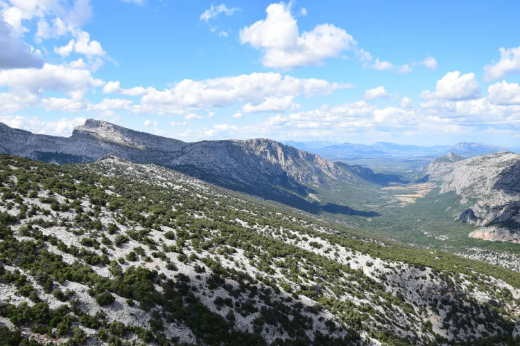 Vue panoramique sur une montagne boisée et une vallée en contrebas, typique de la randonnée dans le Supramonte sarde.