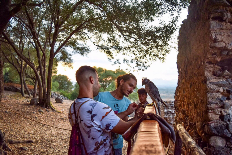 Due uomini con un falco sul braccio in un luogo all'aperto