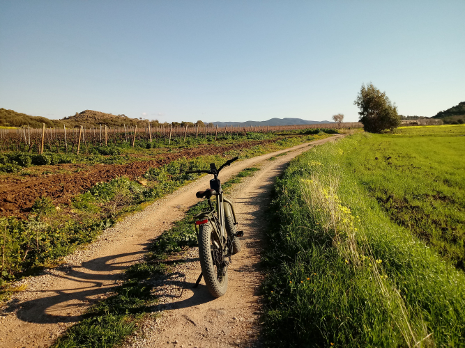 An electric bike on a country road surrounded by vineyards