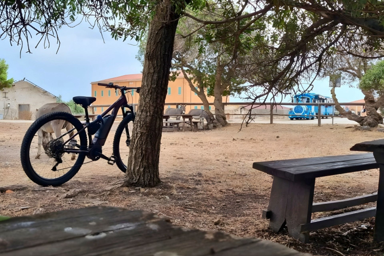 An electric bike rented in Porto Torres for a tour of the island of Asinara, between nature and wild animals.