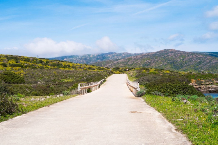 A coastal road leads through a landscape of hills and lush vegetation, with the sea visible on the right. A bridge leads to the road and a small sign stands on the right.