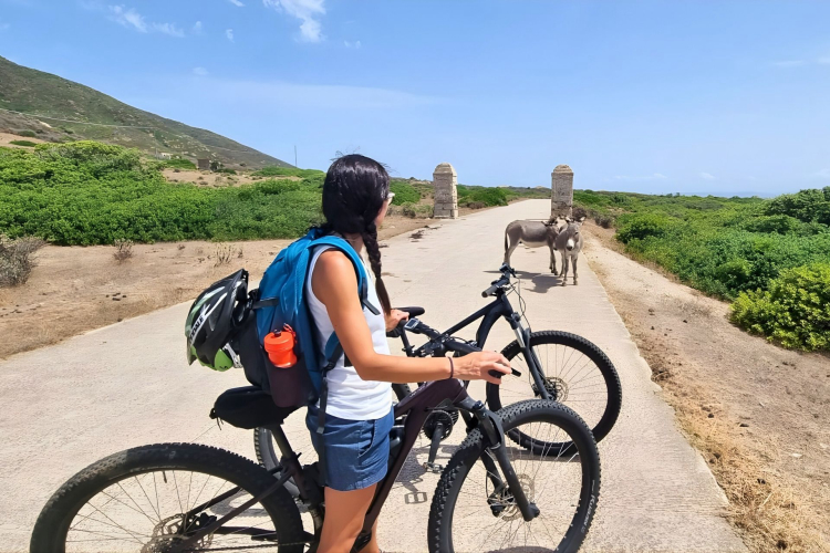 Girl on e-bike and little white donkeys in the streets of the Asinara National Park