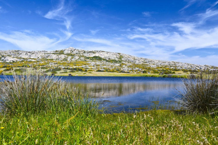 Watercourses in the Asinara National Park