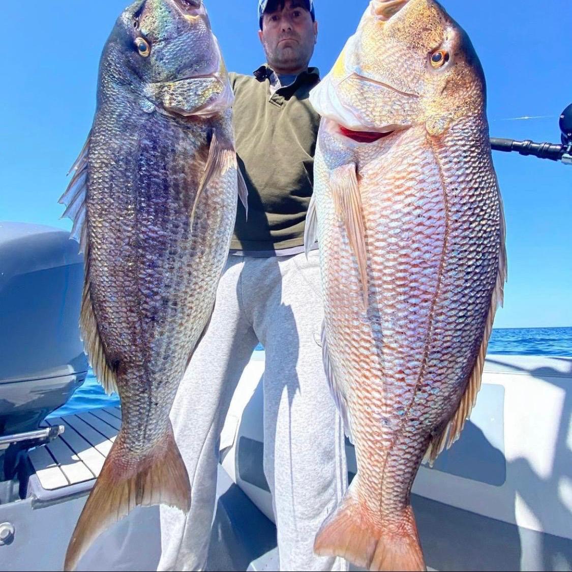 Dos peces grandes, recién capturados durante el recorrido de pesca privado