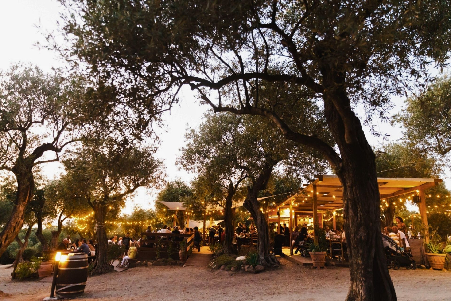 People having dinner in the outdoor dining area under the trees of the Sant Giulià park