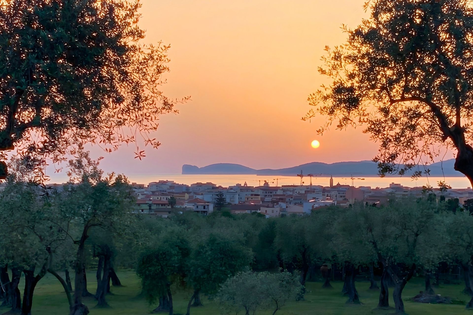 A walk among centuries-old olive trees with a panoramic view of the Gulf of Alghero and tasting of local products on the San Giuliano hill.